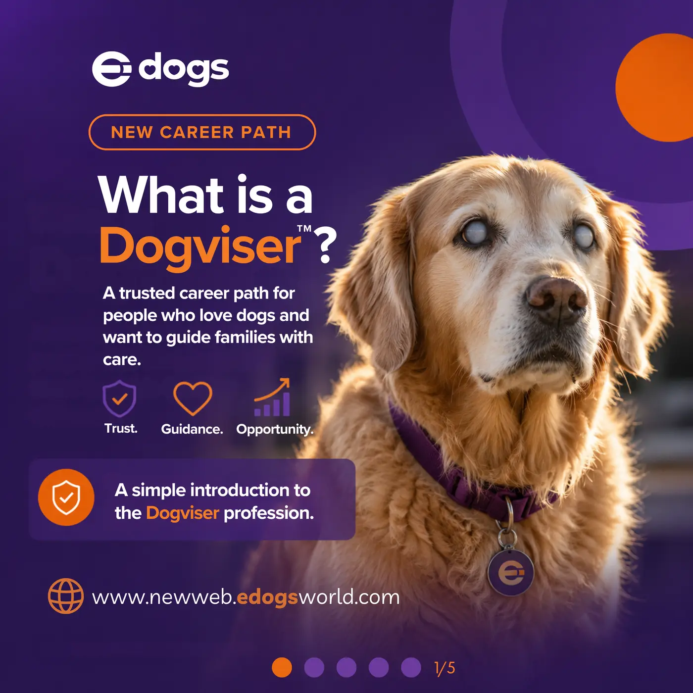 Peça 1 desenvolvida para E-DOGS