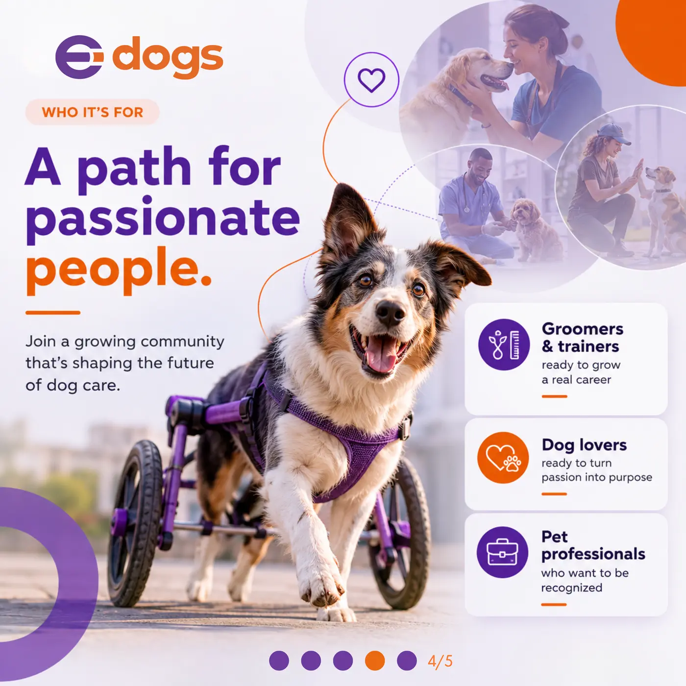 Peça 4 desenvolvida para E-DOGS